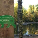 Guided Ranua Wildlife Park tour with Lunch, Small group adventure - Who Should Consider This Tour?