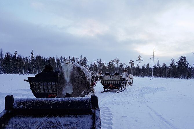 Guided reindeer farm visit and one hour sledge safari - FAQs