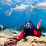 Guided Scuba Diving Experience in Kusadasi - Authentic Experiences from Travelers