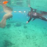 Guided Semi-Private Snorkel Tour (w/ FREE Photos!) - FAQs