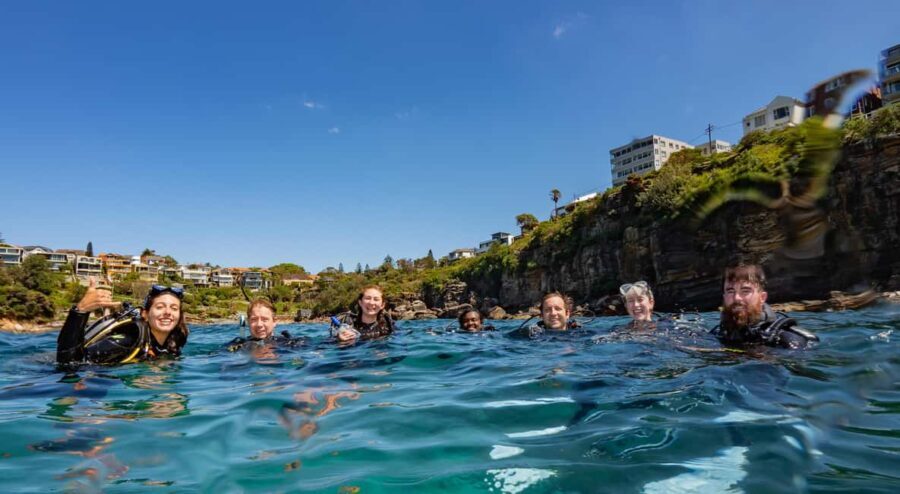 Guided Snorkel Tour at Australias most iconic beach - Practical Details and Tips