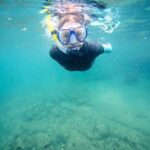 Guided Snorkeling and Island Exploration in Auckland - Why This Tour Stands Out