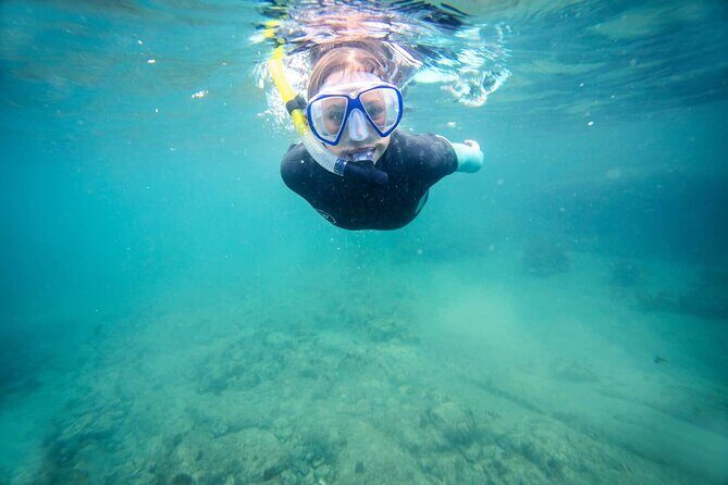 Guided Snorkeling and Island Exploration in Auckland - Why This Tour Stands Out