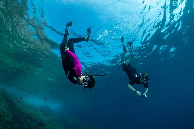 Guided snorkeling in the Portofino Marine Protected Area - A Deep Dive into the Guided Snorkeling Experience