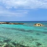 Guided snorkeling trip to the turtles in Protaras - A Full Breakdown of the Experience