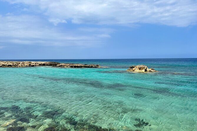 Guided snorkeling trip to the turtles in Protaras - A Full Breakdown of the Experience