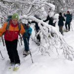 Guided Snowshoe Walk on Tromsoya Island in Tromso - A Deep Dive into the Tromsoya Island Snowshoe Tour