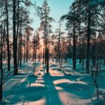 Guided Snowshoeing Tour In Pyhätunturi - Who Would Love This Tour?