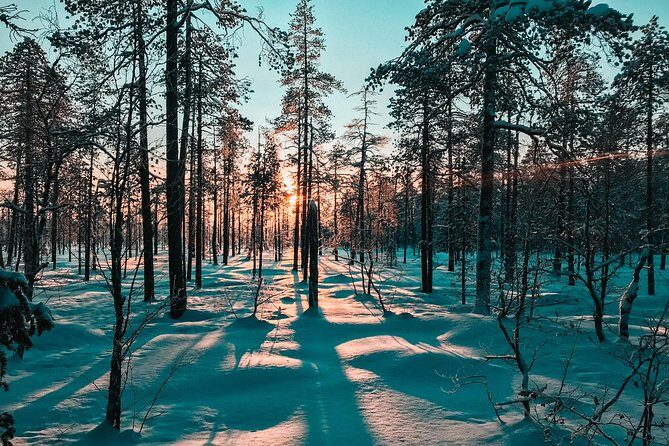 Guided Snowshoeing Tour In Pyhätunturi - Who Would Love This Tour?