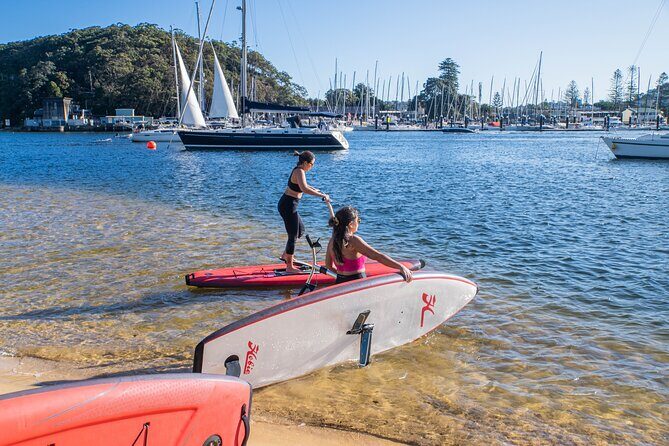 Guided Step-Up Paddle Board Tour of Narrabeen Lagoon - Who Should Consider This Tour?