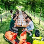 Guided Tour and wine tasting 5 wines to discover the Conegliano Valdobbiadene - An In-Depth Exploration of the Wine Tour Experience