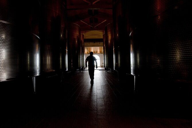 Guided Tour Cleto Chiarli with Lambrusco Tasting - Practical Tips for the Tour