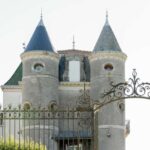 Guided tour from vine to glass - Exploring the Heart of the Estate