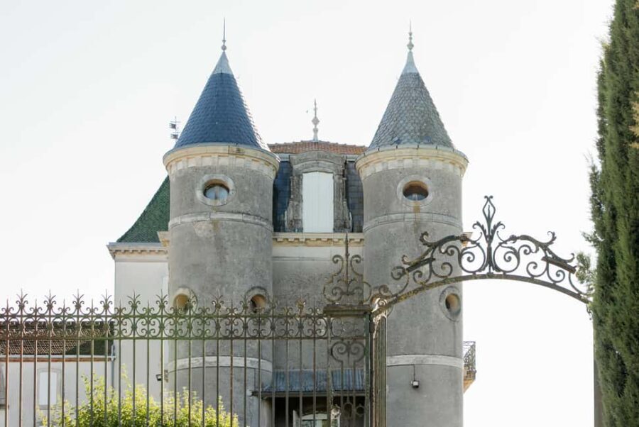 Guided tour from vine to glass - Exploring the Heart of the Estate