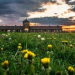 Guided Tour Krakow to Auschwitz-Birkenau with pickup options - Who Should Book This Tour?