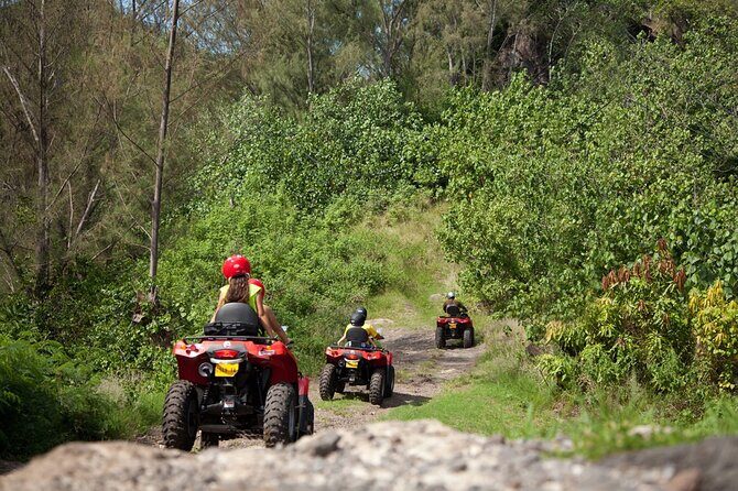 Guided Tour of Bora Bora by Quad - Who Should Consider This Tour?
