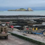 Guided tour of Cancale's oyster beds - FAQ
