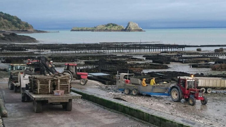 Guided tour of Cancale's oyster beds - FAQ