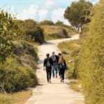 Guided Tour of Limassol with Kourion and Kolossi Castle - Who Will Love This Tour?