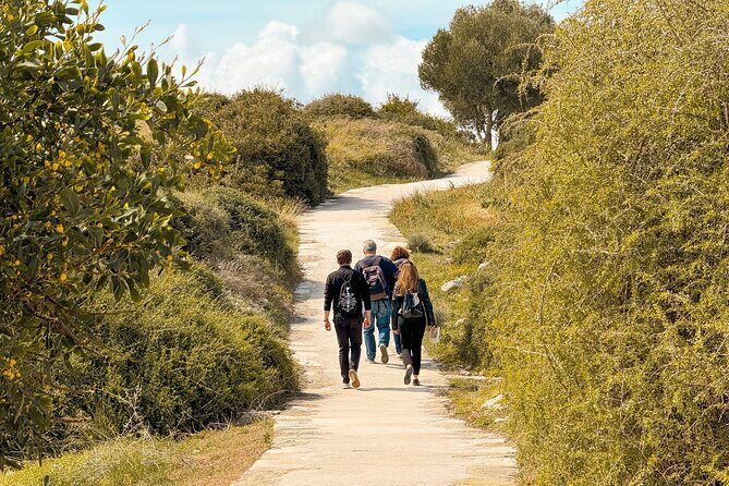 Guided Tour of Limassol with Kourion and Kolossi Castle - Who Will Love This Tour?