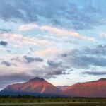 Guided Tour of Musk Ox Farm & Scenic Drive from Anchorage - The Sum Up: Who Is This Tour For?