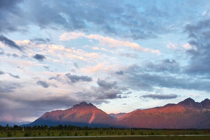 Guided Tour of Musk Ox Farm & Scenic Drive from Anchorage - The Sum Up: Who Is This Tour For?