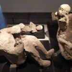 Guided tour of Pompeii with a writer - The Sum Up