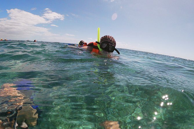 Guided Tour of Puerto Morelos Reefs with Snorkeling Experience - Who Will Benefit Most from This Tour?