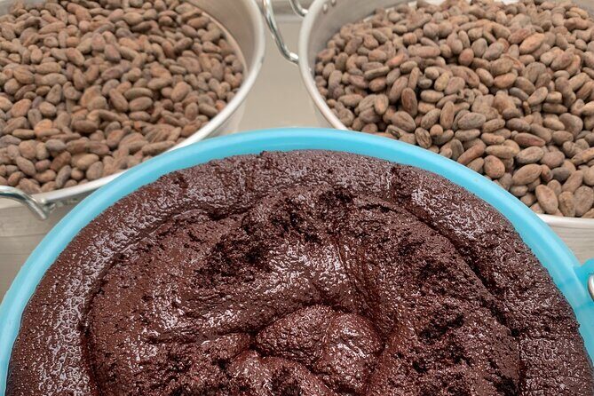 Guided tour of the Artisan Chocolate Factory in Tuscany - The Itinerary in Detail: What to Expect