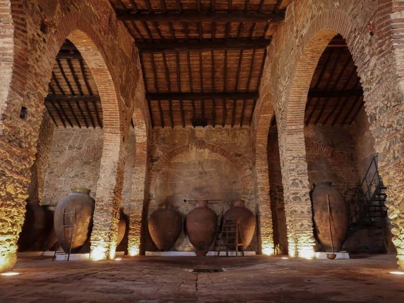 Guided tour of the Cella Vinaria Antiqua Wine Cellar Museum - An In-Depth Review of the Cella Vinaria Antiqua Tour