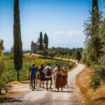 Guided tour of the cellars with wine tasting and lunch - FAQ