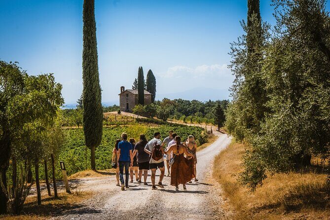 Guided tour of the cellars with wine tasting and lunch - FAQ