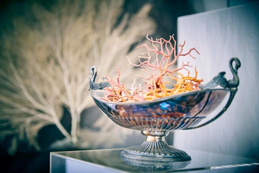 Guided tour of the coral museum in Sciacca - An in-depth look at the Sciacca Coral Museum Tour