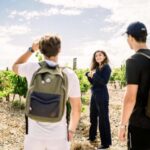 Guided Tour of the Estate & Tasting of 4 wines - Exploring Château lHospitalet: A Genuine Wine Experience in South France