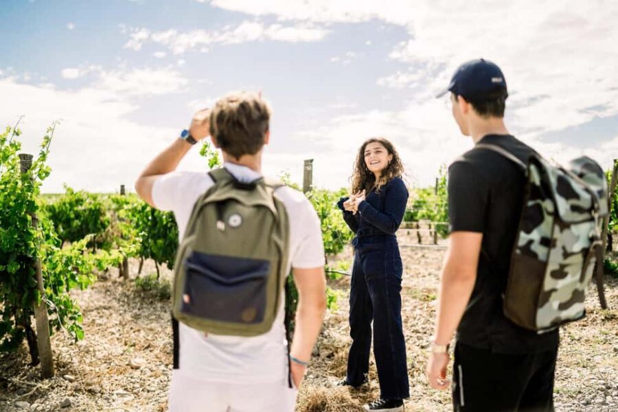 Guided Tour of the Estate & Tasting of 4 wines - Exploring Château lHospitalet: A Genuine Wine Experience in South France