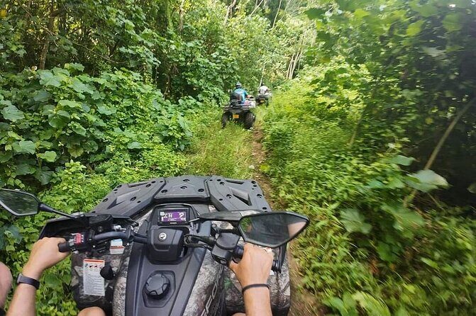 Guided tour of the island and its escapades in Tahaa by Quad / ATV - Why This Tour Offers Great Value