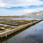 Guided tour of the Marsala Salt Pans and salt harvesting - FAQ