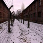 Guided tour to Auschwitz Birkenau museum from Krakow with lunch - An In-Depth Look at the Auschwitz-Birkenau Tour from Krakow