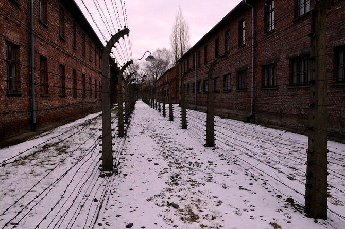 Guided tour to Auschwitz Birkenau museum from Krakow with lunch - An In-Depth Look at the Auschwitz-Birkenau Tour from Krakow