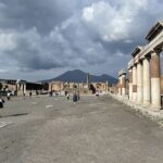 Guided Tour to Pompeii Ruins and Vesuvius from Sorrento - Who Would Love This Tour?