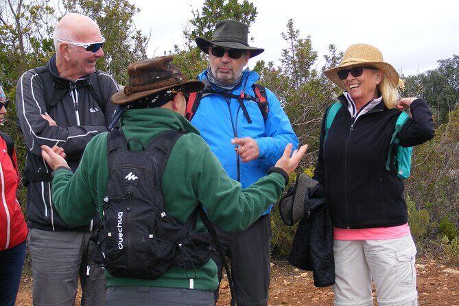 Guided Tour to the Geological Monument of Rocha da Pena - A Deep Dive Into the Rocha da Pena Experience