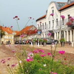 Guided Tour to UNESCO Kuldiga town & Venta River Waterfall - Why This Tour Offers Good Value