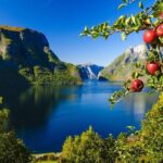 Guided tour - Viking Village, Nærøyfjord Cruise and Flåm Railway - Why This Tour Offers Good Value