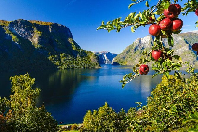 Guided tour - Viking Village, Nærøyfjord Cruise and Flåm Railway - Why This Tour Offers Good Value
