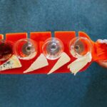 Guided Tour with Cheese & Wine Pairing - Final Thoughts: Is It Worth Your Time?
