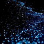 Guided Tour with Horseback Riding and Bioluminescence in Puerto Escondido - Horseback Riding Through Local Communities