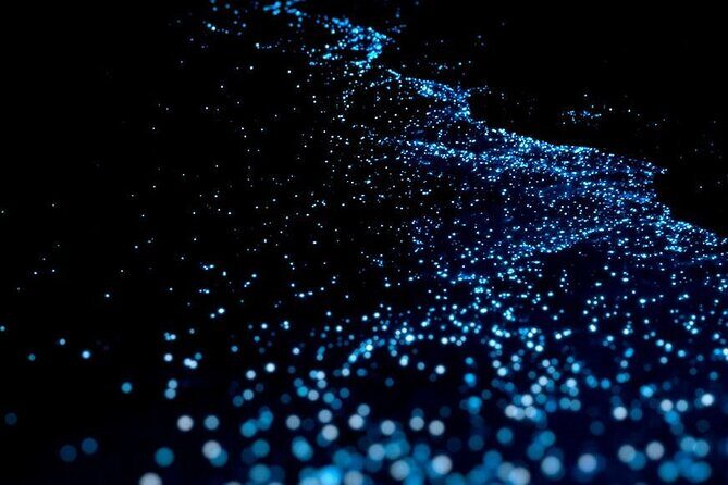 Guided Tour with Horseback Riding and Bioluminescence in Puerto Escondido - Horseback Riding Through Local Communities