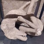Guided Tours of Pompeii Excavations Historical and Cultural Itineraries - Who Will Get the Most Out of This Tour?