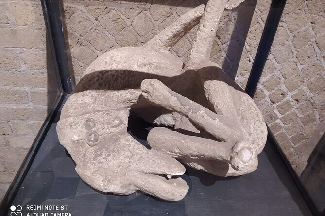 Guided Tours of Pompeii Excavations Historical and Cultural Itineraries - Who Will Get the Most Out of This Tour?