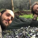 Guided tours of the olive grove with oil tasting. - What Do Travelers Say?